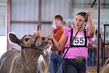 25RDC-Smokey-9211.jpg