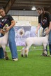25SWYH-BFWX-7358.jpg
