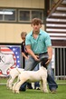 25SWYH-BGoatDrive-3533.jpg