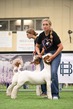 25SWYH-BGoatDrive-3536.jpg