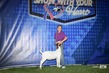 25SWYH-GoatBD-2051.jpg