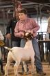 26GC-D4Goat-1193.jpg