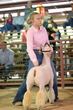26GC-SouthDown-1639.jpg