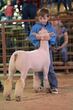 26GC-SouthDown-1641.jpg