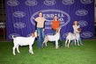 26KC-GoatBD-0012.jpg