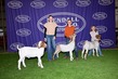 26KC-GoatBD-0014.jpg