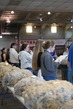 26SA-WoolJudging-4234.jpg