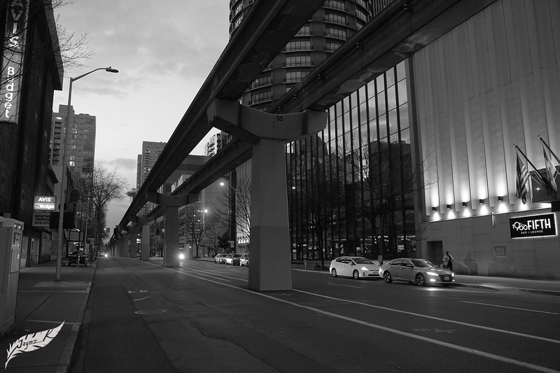 DSC02165 copy(1).jpg