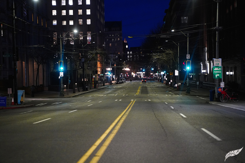DSC02205(1).jpg