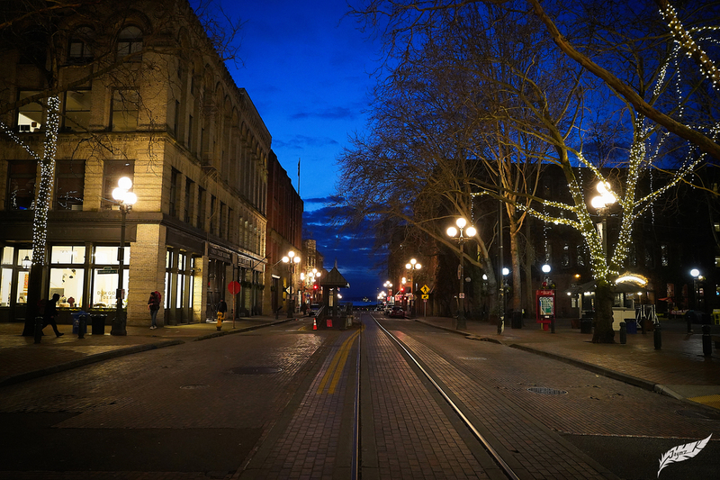 DSC02209(1).jpg