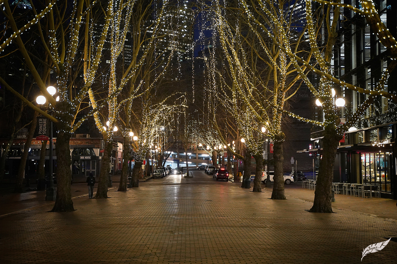 DSC02213(1).jpg