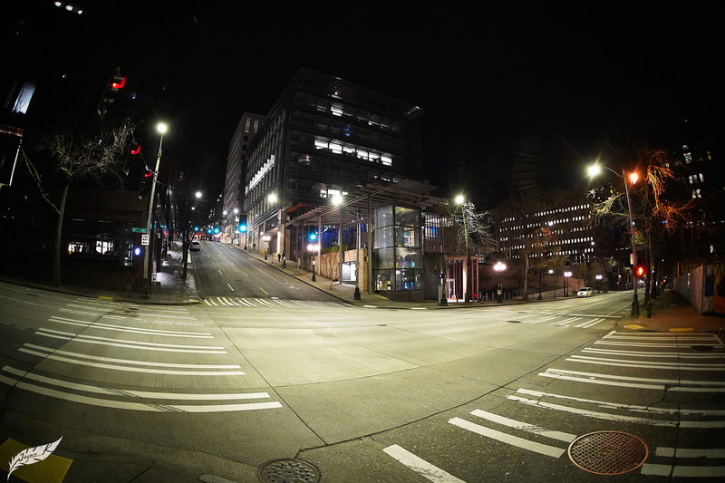 DSC02274(1).jpg