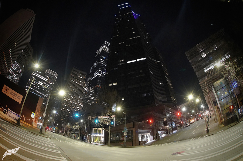 DSC02277(1).jpg