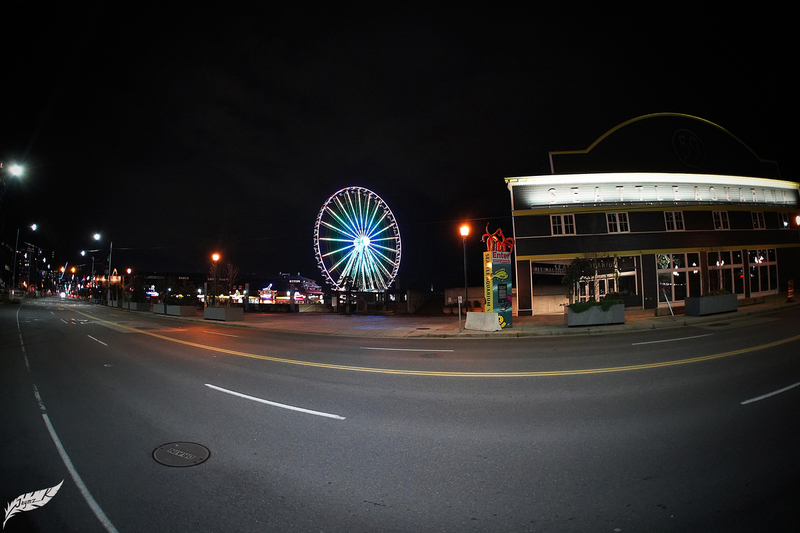 DSC02286(1).jpg