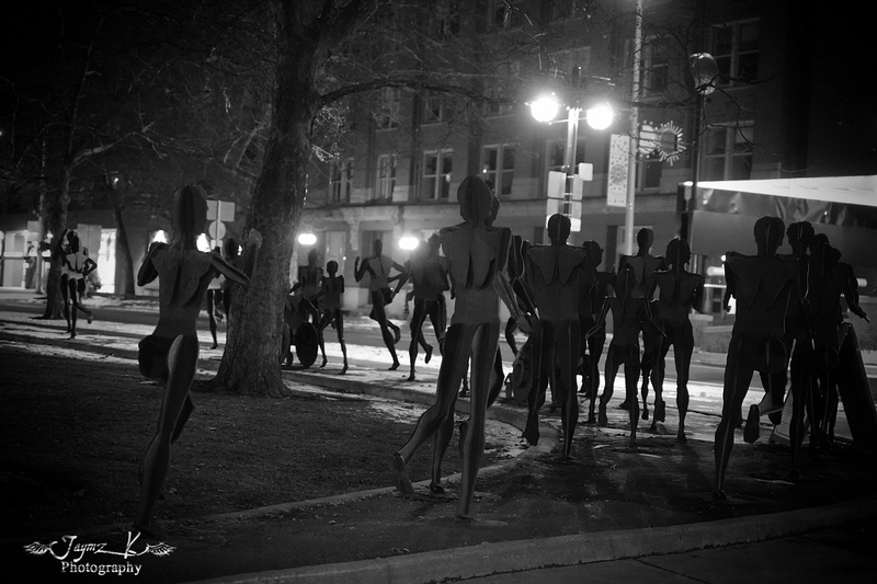 DSC02434(1).jpg