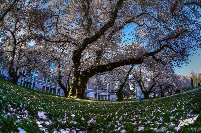 DSC07674_tonemapped.jpg