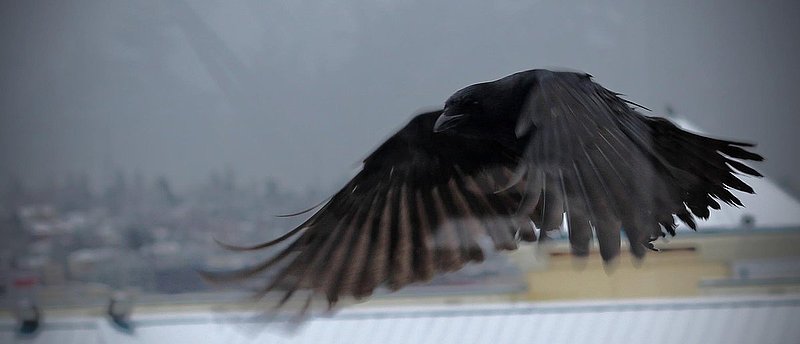 out of the mountains of mordor.jpg