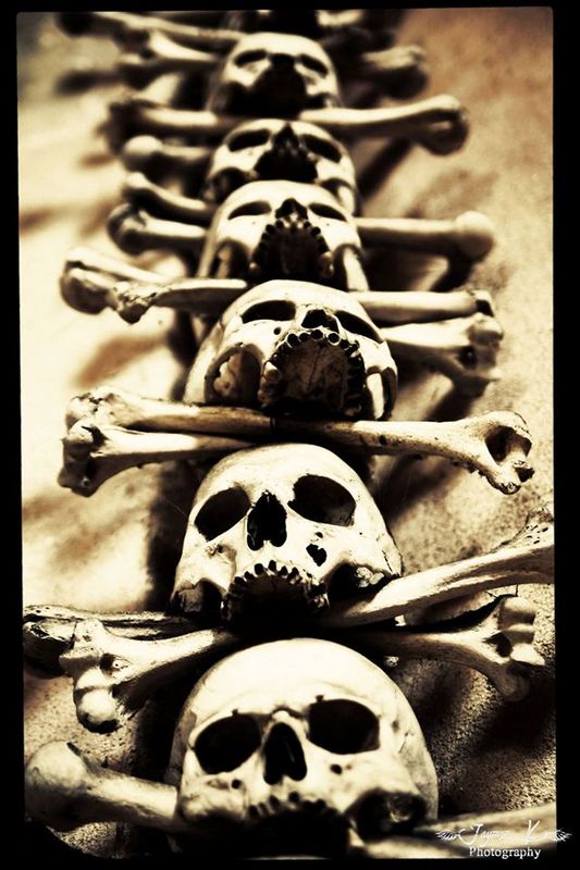 czech skull 3.jpg
