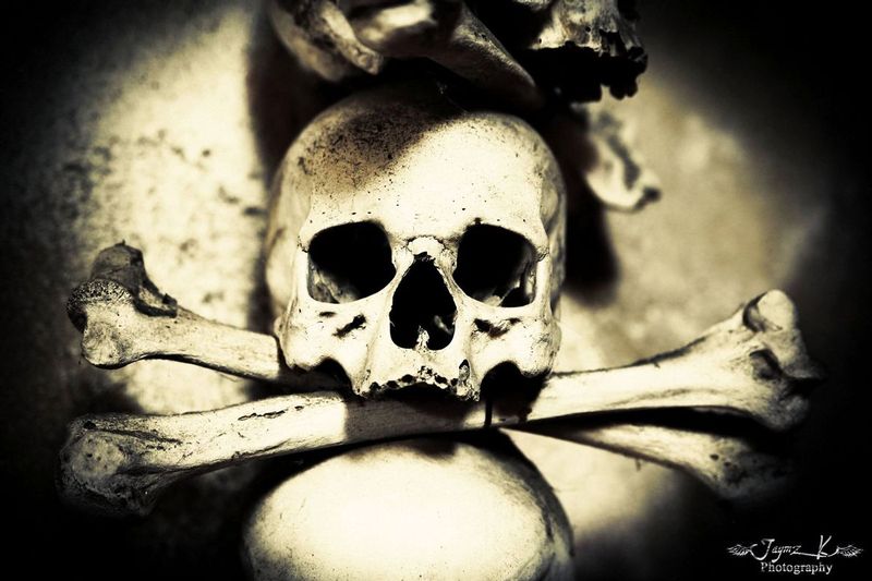 czech skull.jpg
