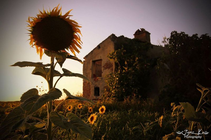 somewhere in the middle of nowhere italy.jpg