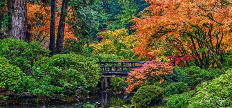 2021 Moon Bridge Fall Pano 1(1).jpg
