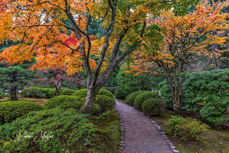 DSC_0031_A.jpg