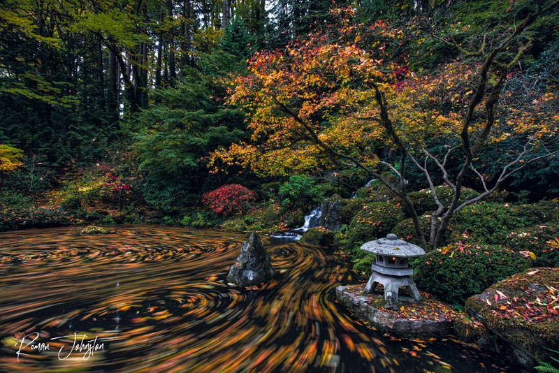 DSC_0146-Edit.jpg
