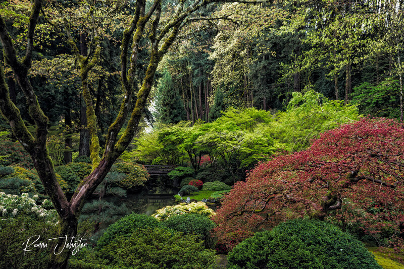DSC_0303 V.jpg