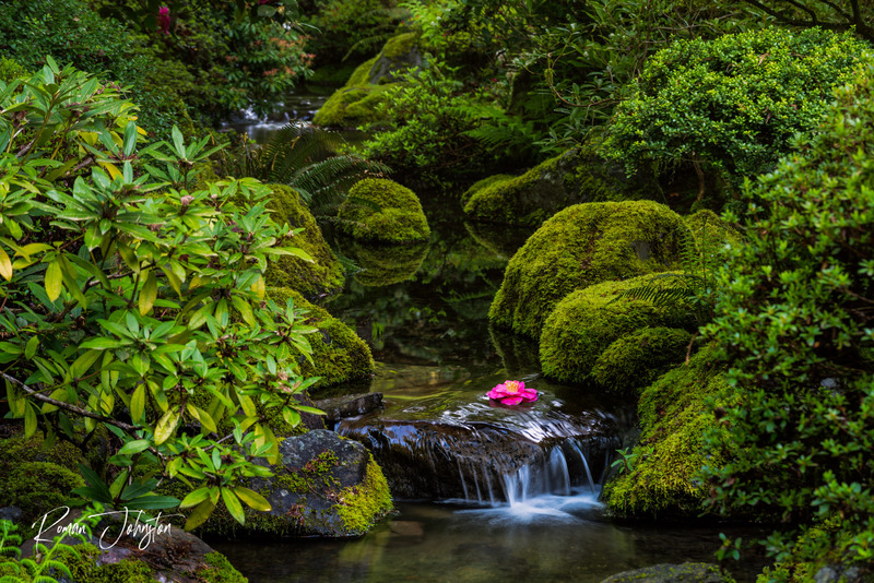 DSC_0358 V.jpg