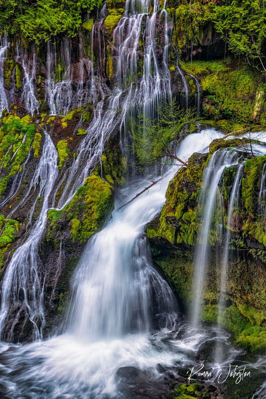 DSC_0638 V.jpg