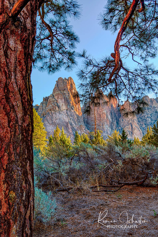 DSC_0826-Edit.jpg