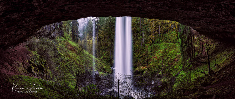 Eye Of The Forest Pano.jpg