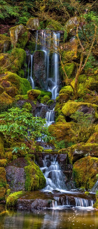 Heavenly Falls Tall Pano 60 x 140(1).jpg