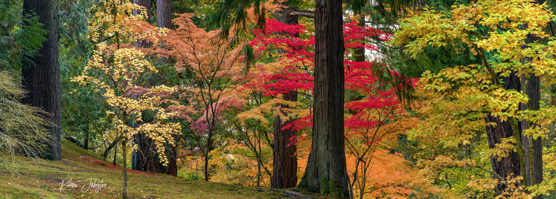 Japanese Garden Hilside Fall Pano(1).jpg