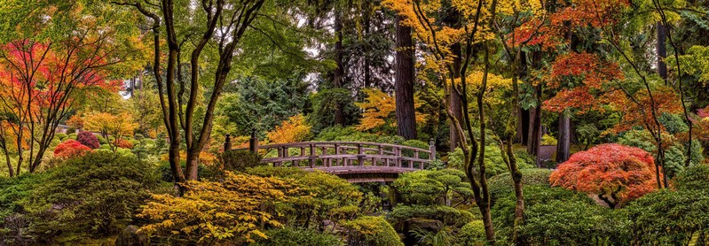 Moon Bridge Fall Pano 1.jpg