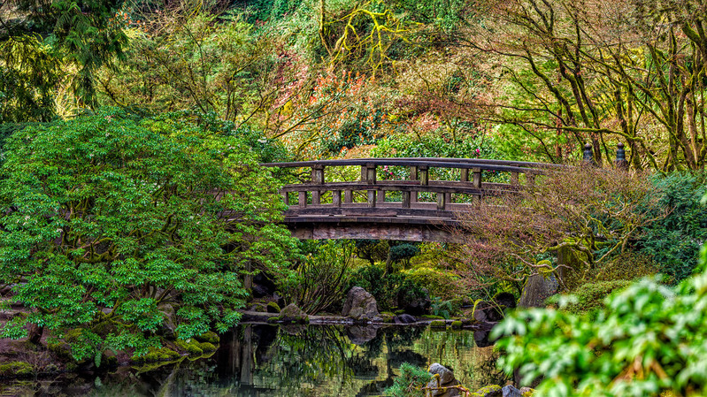 Moon Bridge Spring Pano 1(1).jpg