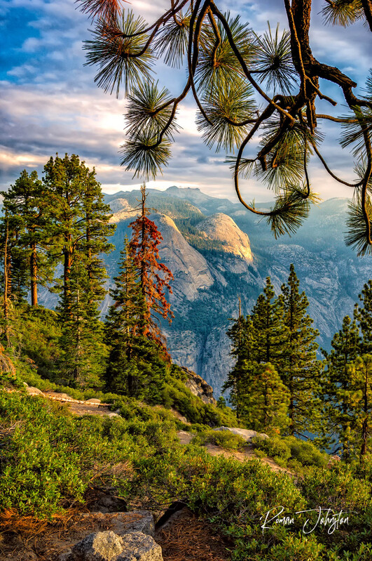 REJ_0571-Edit.jpg