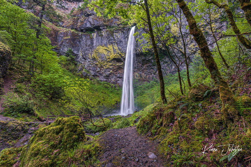 REJ_0931-Edit.jpg