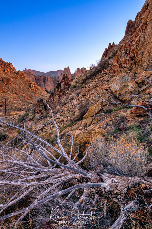 REJ_1841-Edit.jpg