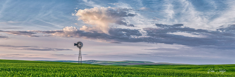 REJ_2859 (2)-Pano-Edit.jpg