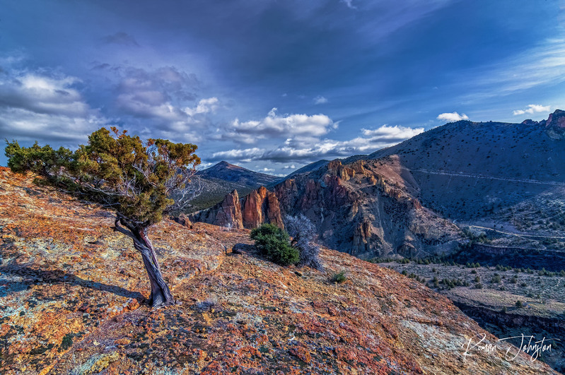 REJ_3740-Edit-Edit.jpg