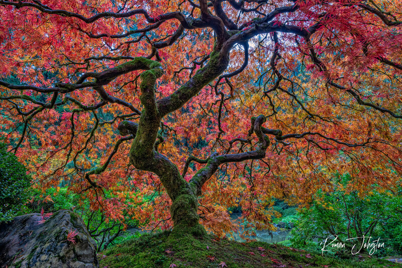 REJ_9070-HDR-Edit.jpg