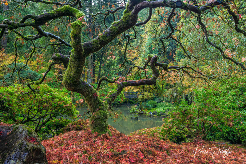 REJ_9324-Edit.jpg