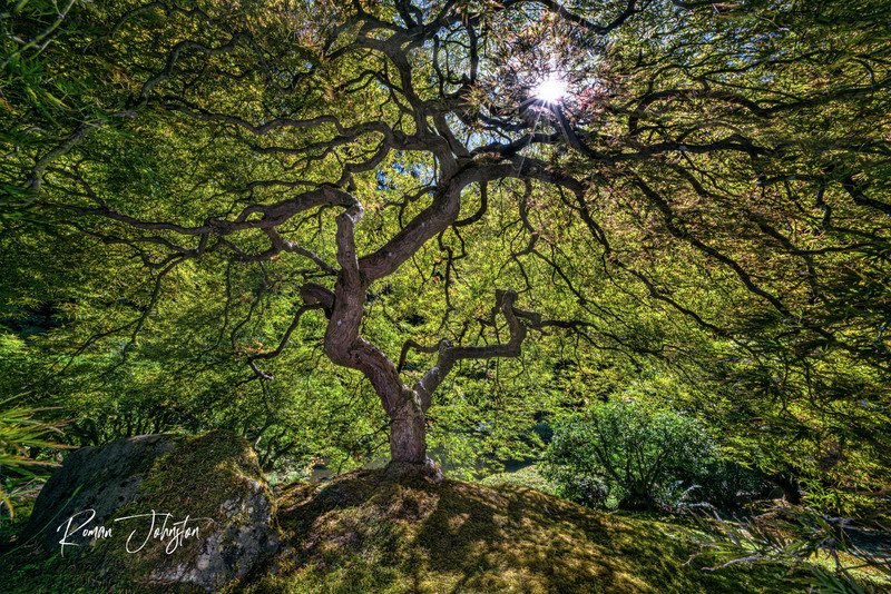RJ1_0360-Edit-Edit.jpg