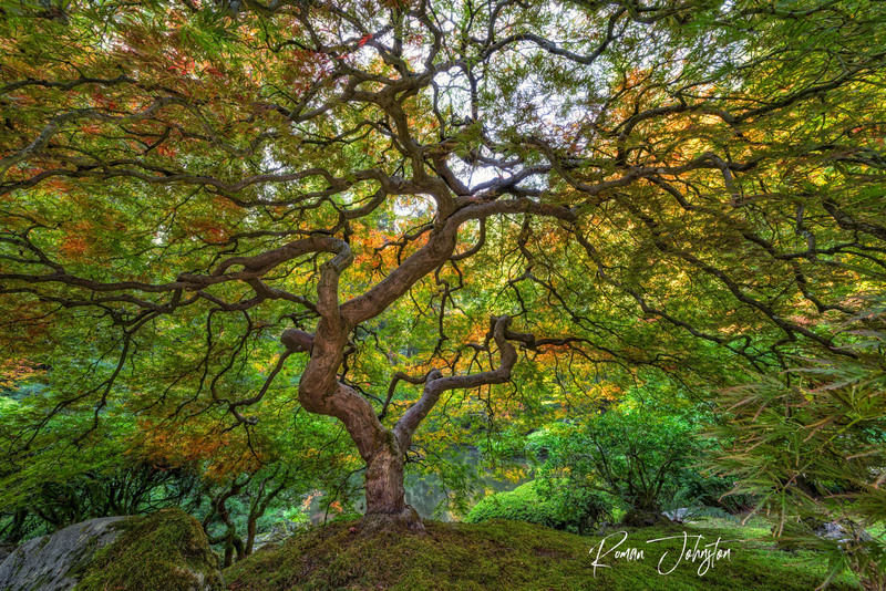 RJ1_0995_Early Fall 2018(1).jpg