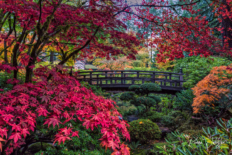 RJ1_1410-Edit(1).jpg