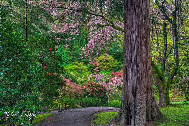 RJ1_1570-Edit(1).jpg