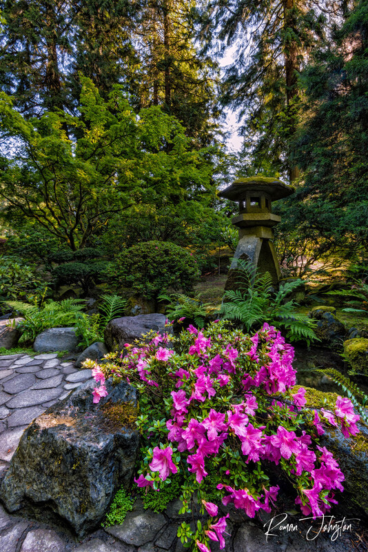 RJ1_2396(1).jpg
