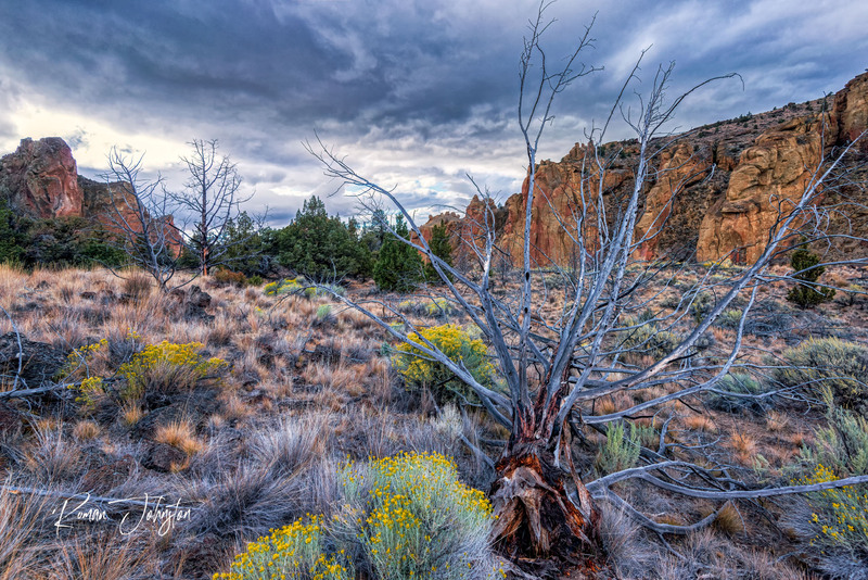 RJ1_4083-Edit(1).jpg