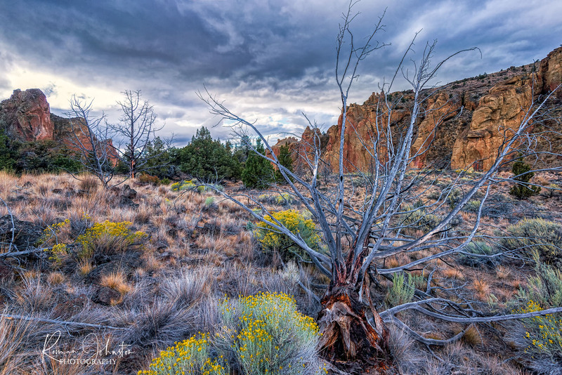 RJ1_4083-Edit.jpg